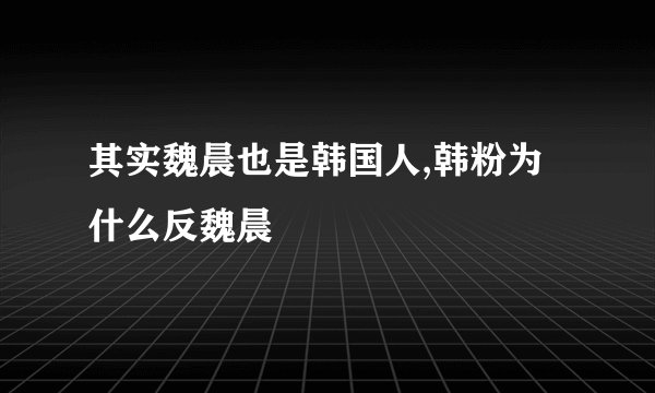 其实魏晨也是韩国人,韩粉为什么反魏晨