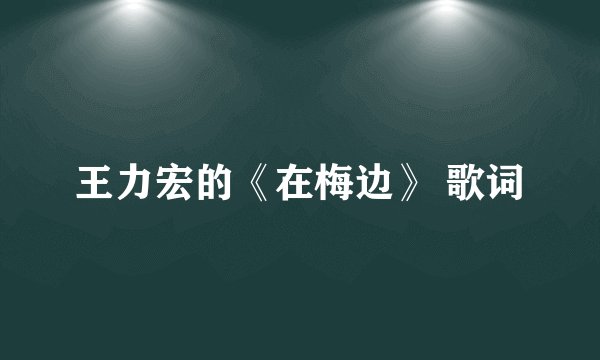王力宏的《在梅边》 歌词