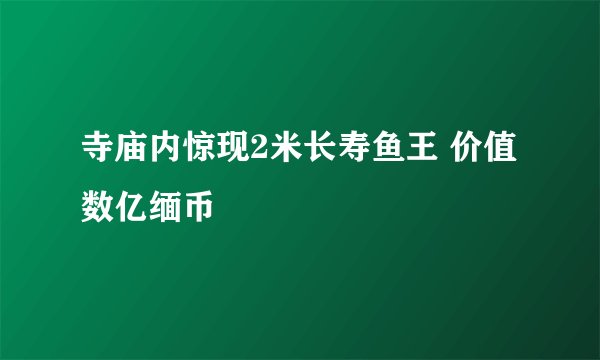 寺庙内惊现2米长寿鱼王 价值数亿缅币