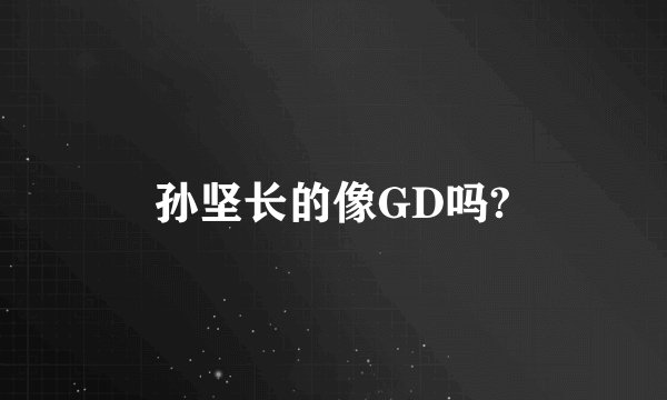 孙坚长的像GD吗?