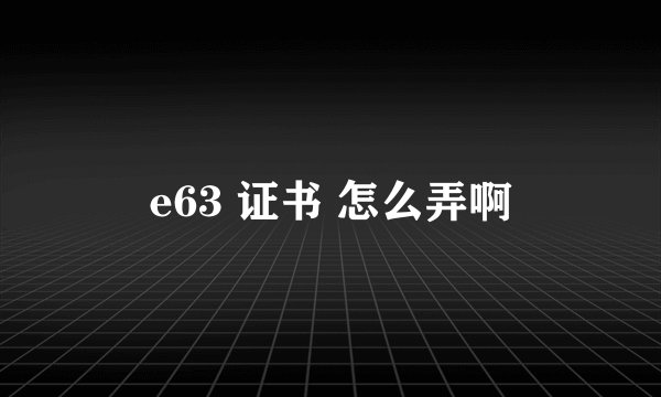 e63 证书 怎么弄啊