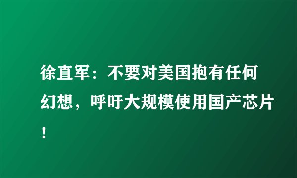 徐直军：不要对美国抱有任何幻想，呼吁大规模使用国产芯片！