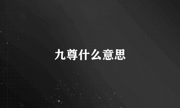 九尊什么意思