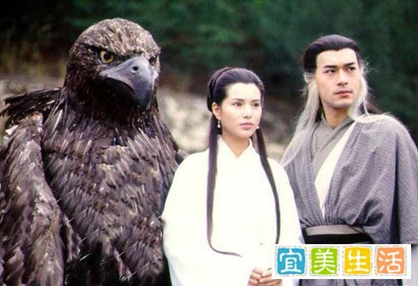 神雕侠侣里，杨过共有三只宠物，连载版一只打瞎李莫愁