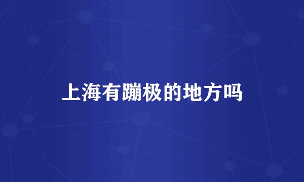上海有蹦极的地方吗