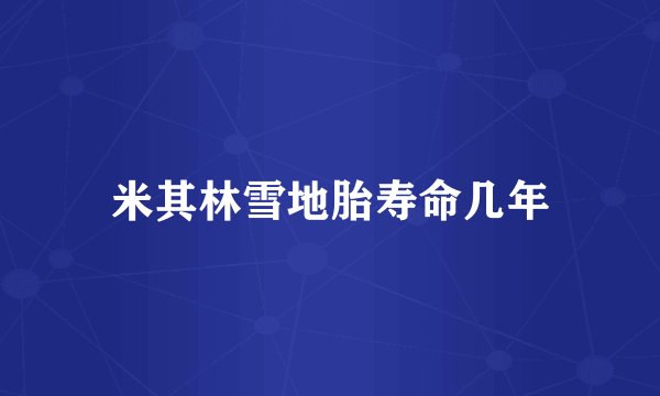 米其林雪地胎寿命几年