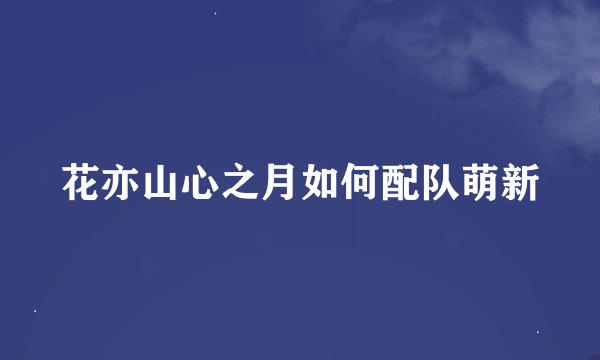 花亦山心之月如何配队萌新