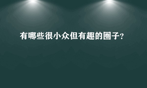 有哪些很小众但有趣的圈子？