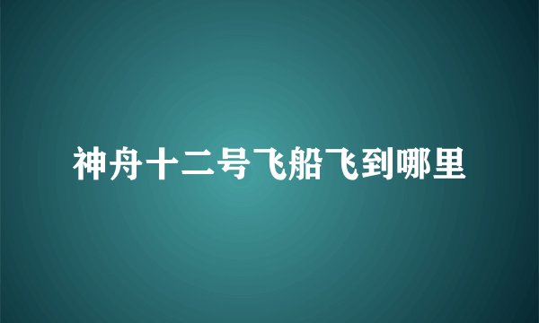 神舟十二号飞船飞到哪里