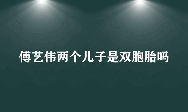 傅艺伟两个儿子是双胞胎吗