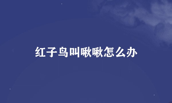 红子鸟叫啾啾怎么办