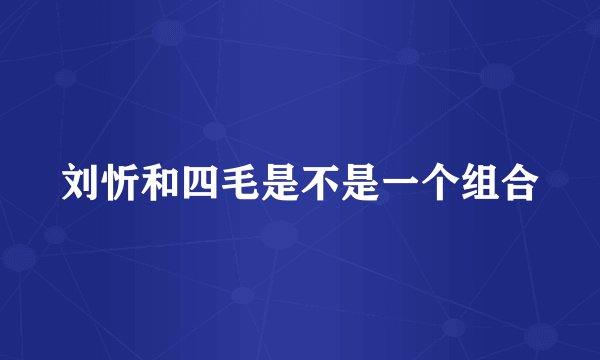 刘忻和四毛是不是一个组合