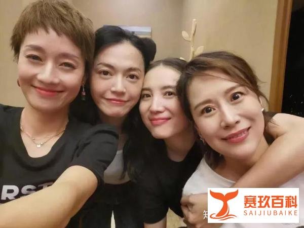 海清言论惹争议：中生代女演员的尬与困