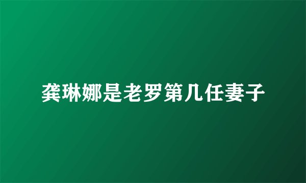 龚琳娜是老罗第几任妻子