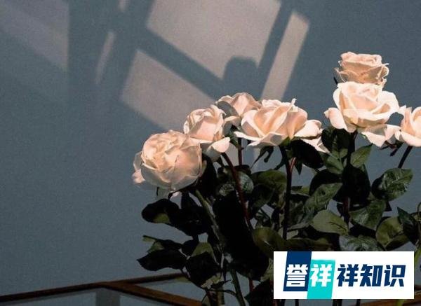 细节在恋爱里到底多重要?