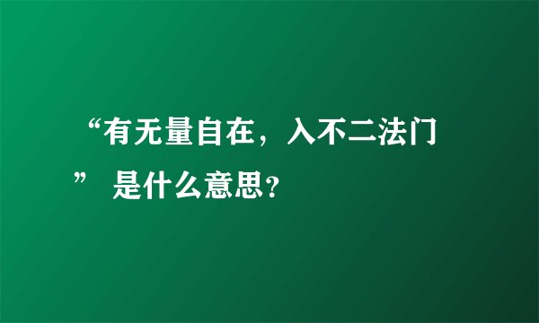 “有无量自在，入不二法门 ” 是什么意思？