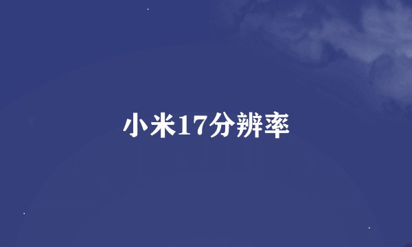 小米17分辨率