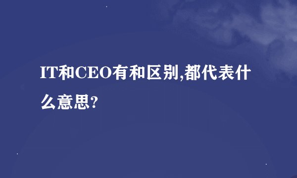 IT和CEO有和区别,都代表什么意思?