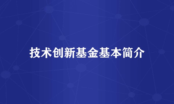 技术创新基金基本简介
