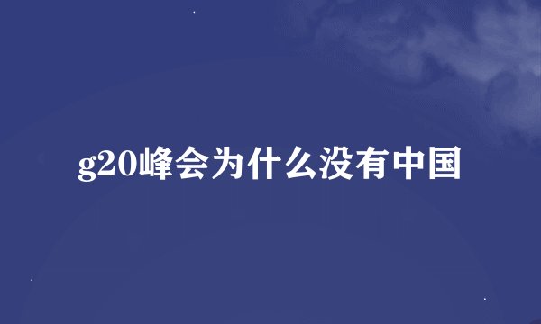 g20峰会为什么没有中国