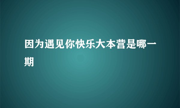 因为遇见你快乐大本营是哪一期