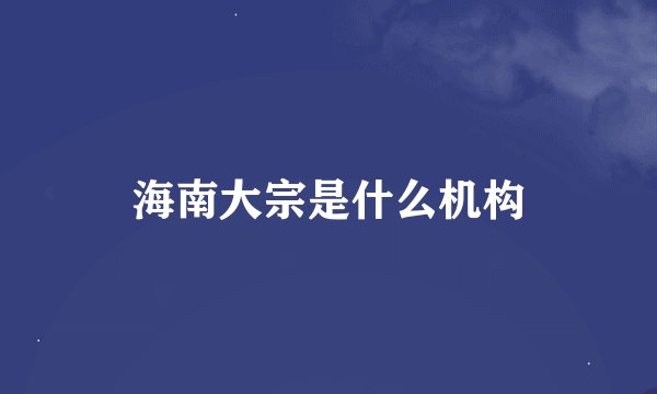 海南大宗是什么机构