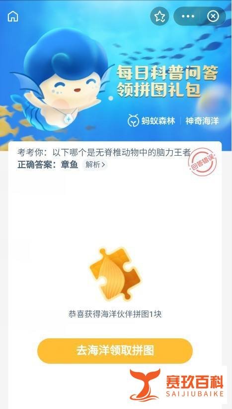无脊椎动物中的脑力王者有哪些