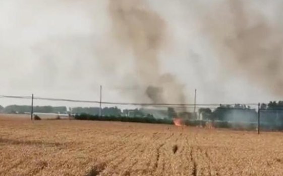 安徽一男子恶意纵火烧掉多个村庄麦子，他为何会有如此举动？