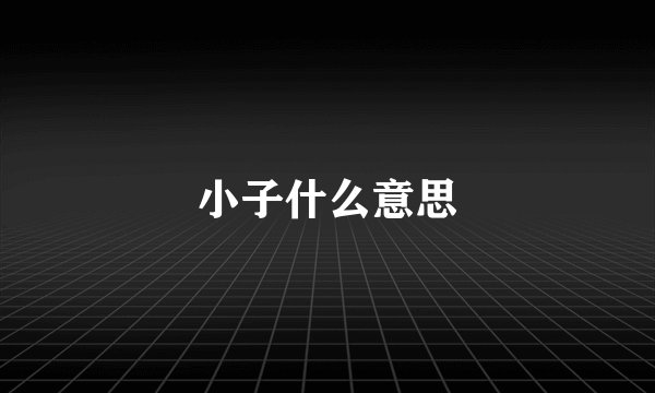 小子什么意思