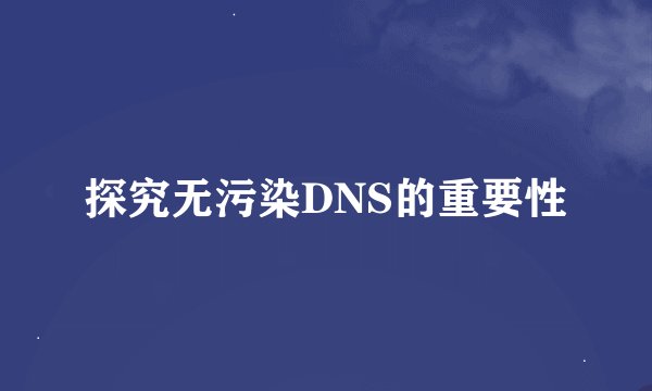 探究无污染DNS的重要性