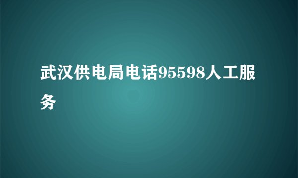 武汉供电局电话95598人工服务