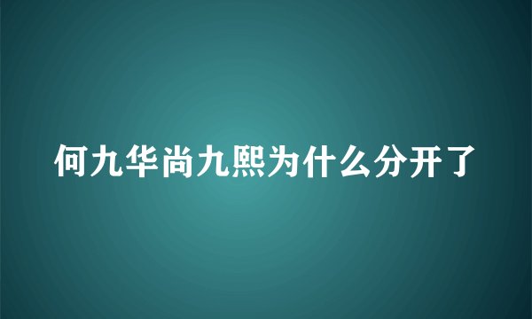何九华尚九熙为什么分开了