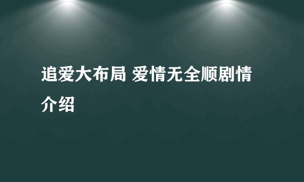 追爱大布局 爱情无全顺剧情介绍