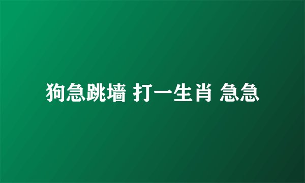 狗急跳墙 打一生肖 急急