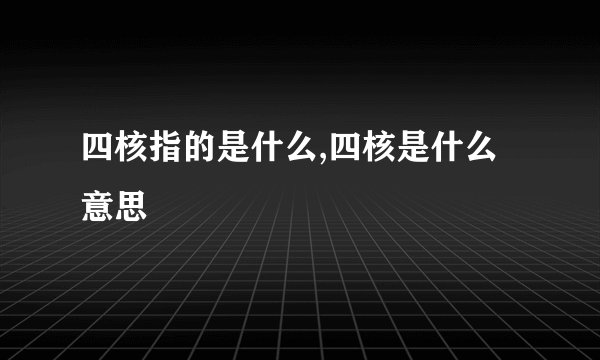 四核指的是什么,四核是什么意思
