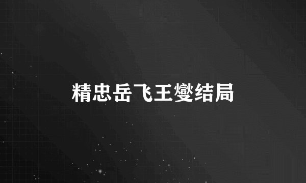 精忠岳飞王燮结局