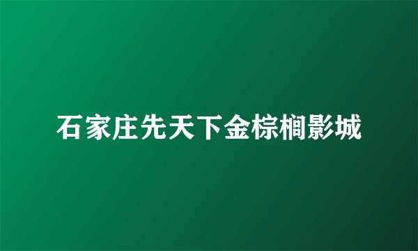 石家庄先天下金棕榈影城