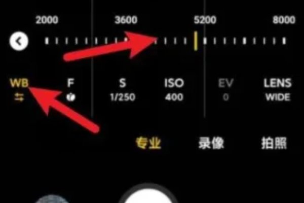 小米10专业模式拍月亮参数