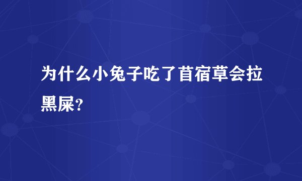 为什么小兔子吃了苜宿草会拉黑屎？