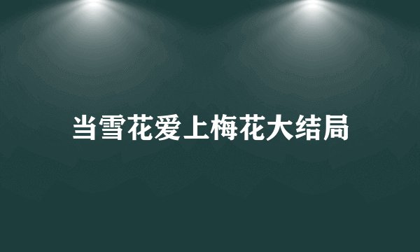 当雪花爱上梅花大结局