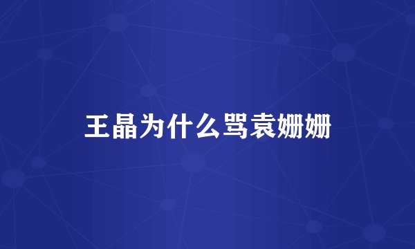 王晶为什么骂袁姗姗