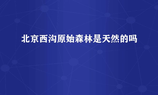 北京西沟原始森林是天然的吗
