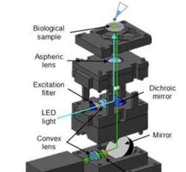 【中韩双语新闻】登上韩国热搜的“ 汉堡病 ”是什么来的？科学家的“黑科技”来了！