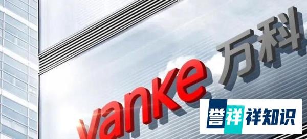 大气!王石放弃千万退休金,小30岁的嫩妻开始养家