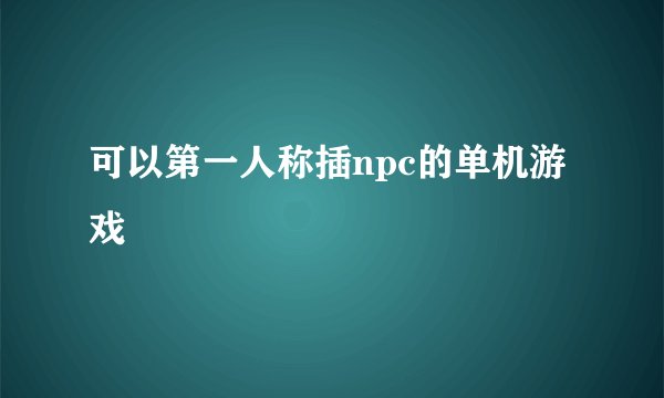 可以第一人称插npc的单机游戏