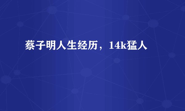 蔡子明人生经历，14k猛人