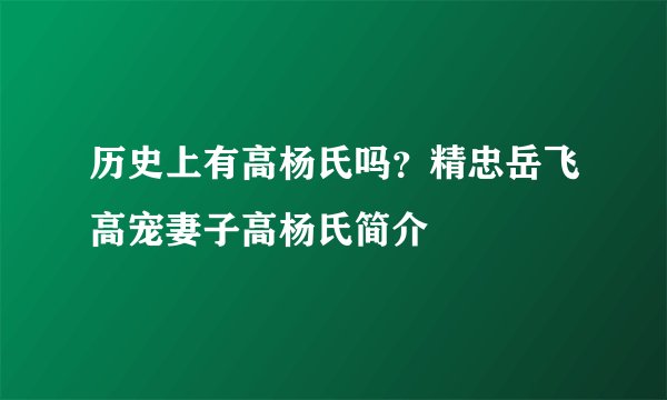 历史上有高杨氏吗？精忠岳飞高宠妻子高杨氏简介