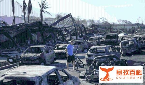 夏威夷野火致近百人死，罹难者遗体一碰就碎，失踪者恐超过1302人