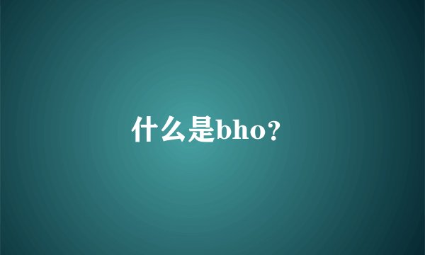什么是bho？