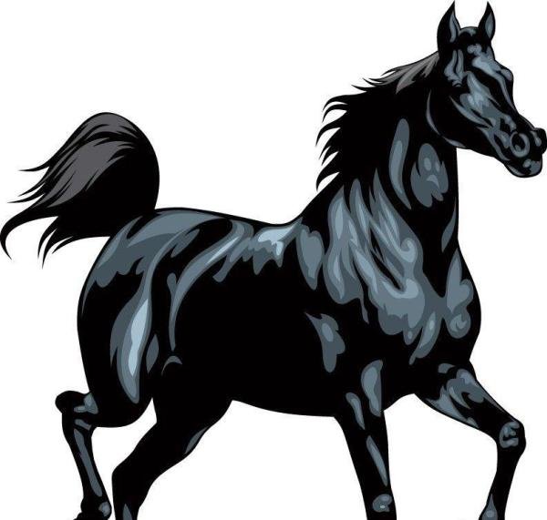 御龙在天繁育马技巧